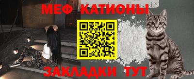 шишки Тара