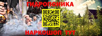 шишки Тара