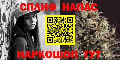 шишки Тара