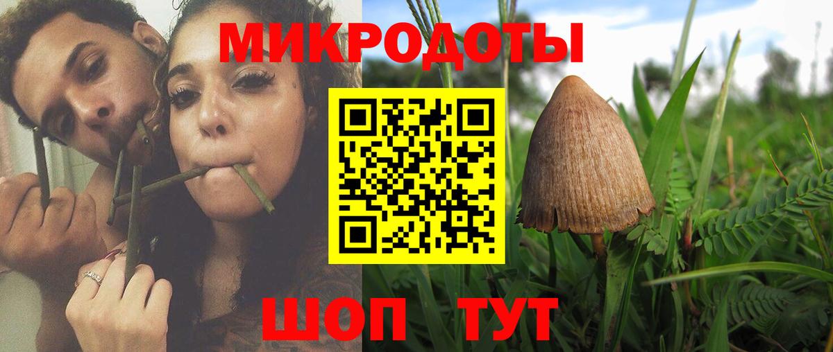 Новый Уренгой  Псилоцибиновые грибы MAGIC MUSHROOMS  Вход с VPN  Галлюциногенные грибы Magic Shrooms 